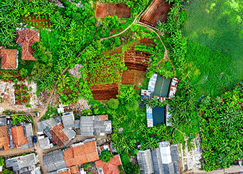 Customary & communal land rights